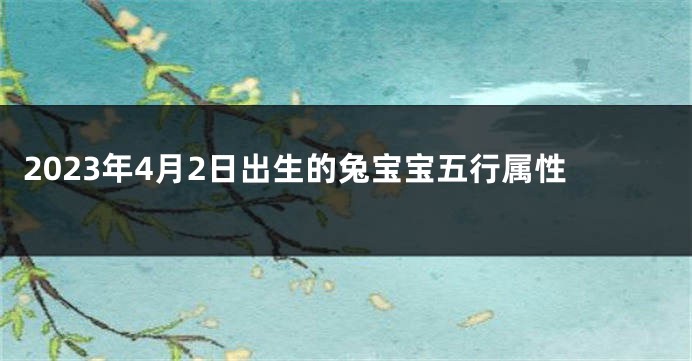 2023年4月2日出生的兔宝宝五行属性