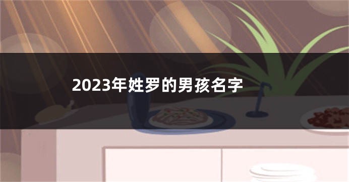 2023年姓罗的男孩名字