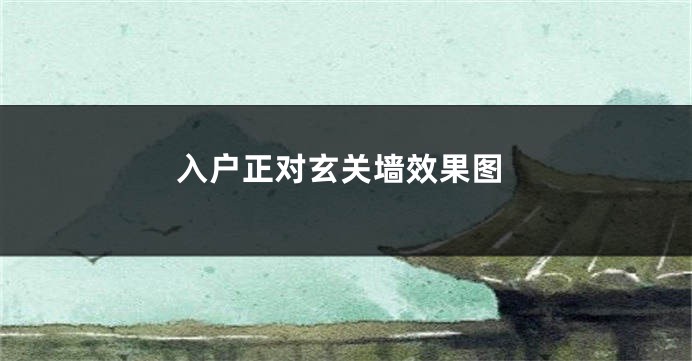 入户正对玄关墙效果图