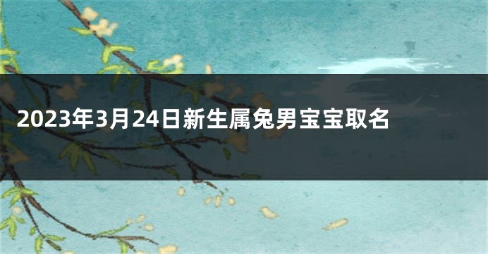 2023年3月24日新生属兔男宝宝取名