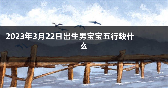 2023年3月22日出生男宝宝五行缺什么