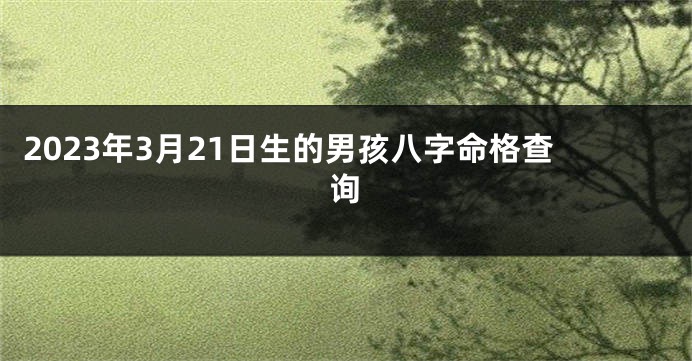 2023年3月21日生的男孩八字命格查询