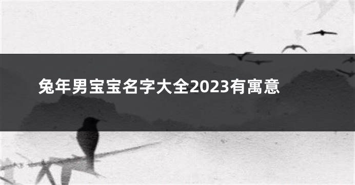 兔年男宝宝名字大全2023有寓意