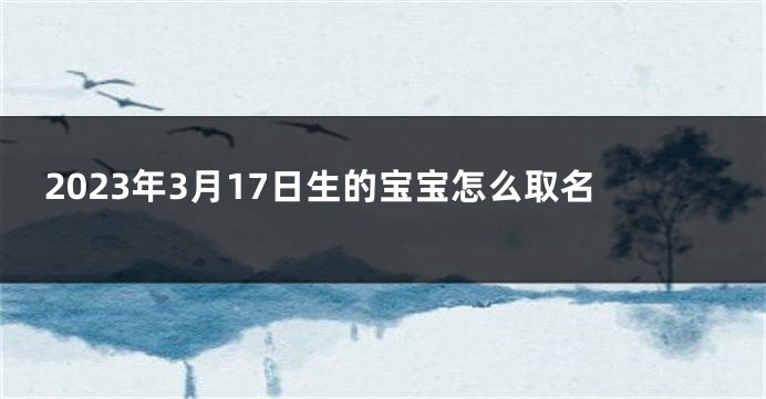 2023年3月17日生的宝宝怎么取名