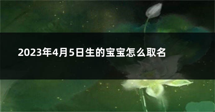 2023年4月5日生的宝宝怎么取名