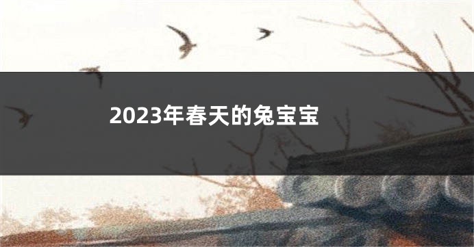 2023年春天的兔宝宝