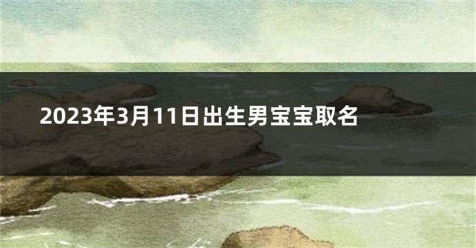 2023年3月11日出生男宝宝取名