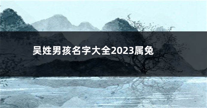 吴姓男孩名字大全2023属兔