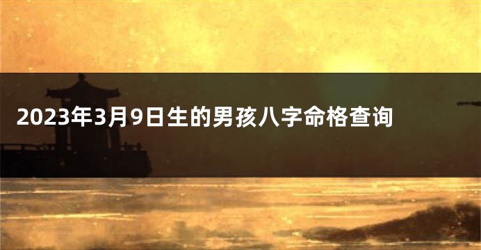 2023年3月9日生的男孩八字命格查询