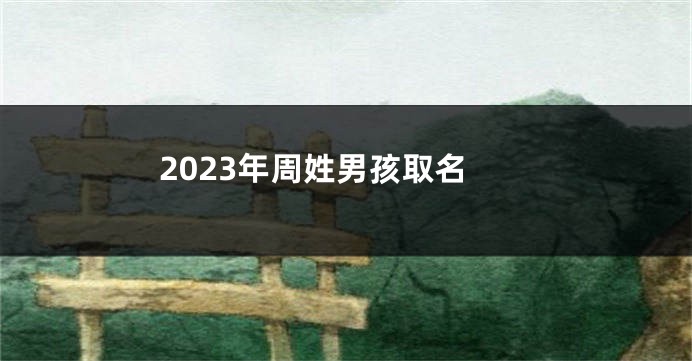 2023年周姓男孩取名