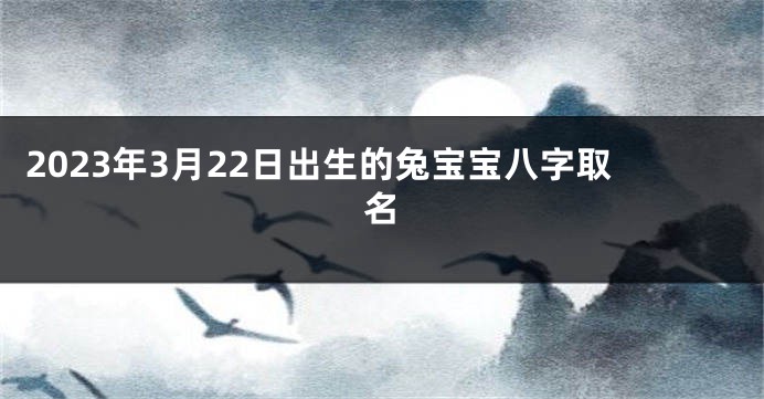 2023年3月22日出生的兔宝宝八字取名