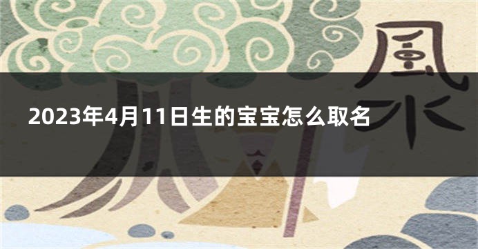 2023年4月11日生的宝宝怎么取名