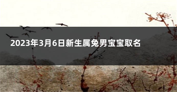 2023年3月6日新生属兔男宝宝取名