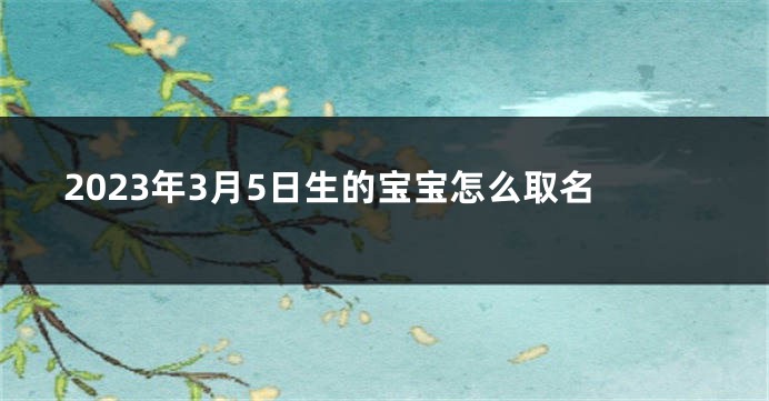 2023年3月5日生的宝宝怎么取名