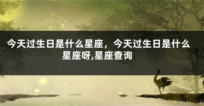 今天过生日是什么星座，今天过生日是什么星座呀,星座查询