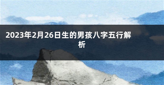 2023年2月26日生的男孩八字五行解析