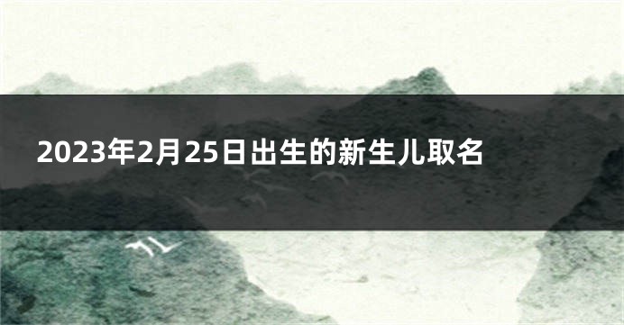 2023年2月25日出生的新生儿取名