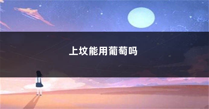 上坟能用葡萄吗