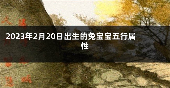 2023年2月20日出生的兔宝宝五行属性