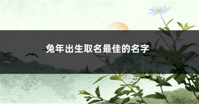 兔年出生取名最佳的名字