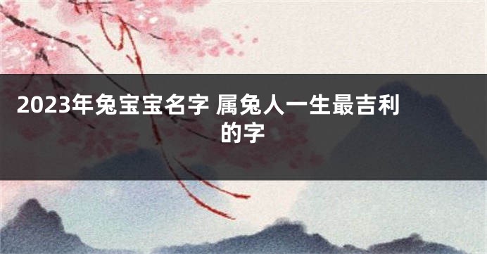 2023年兔宝宝名字 属兔人一生最吉利的字