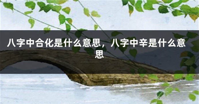 八字中合化是什么意思，八字中辛是什么意思