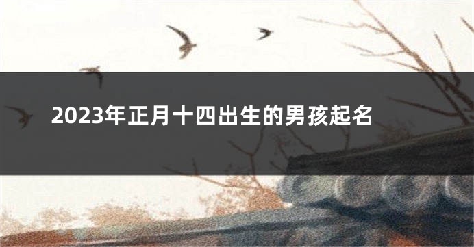 2023年正月十四出生的男孩起名
