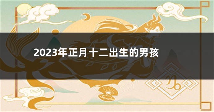 2023年正月十二出生的男孩