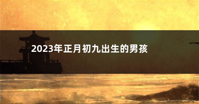 2023年正月初九出生的男孩