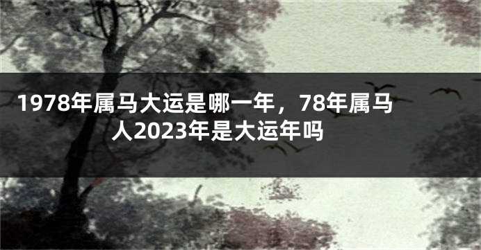 1978年属马大运是哪一年，78年属马人2023年是大运年吗