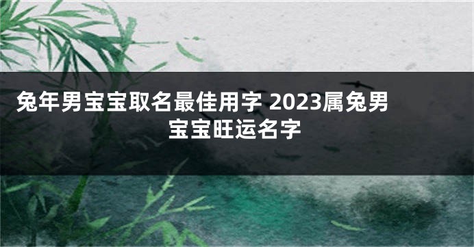 兔年男宝宝取名最佳用字 2023属兔男宝宝旺运名字