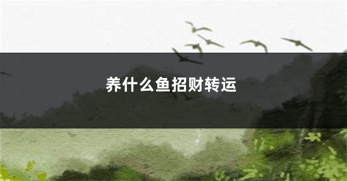 养什么鱼招财转运