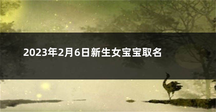 2023年2月6日新生女宝宝取名