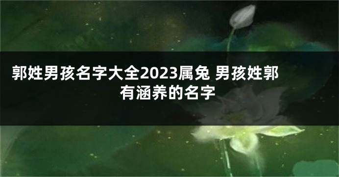 郭姓男孩名字大全2023属兔 男孩姓郭有涵养的名字