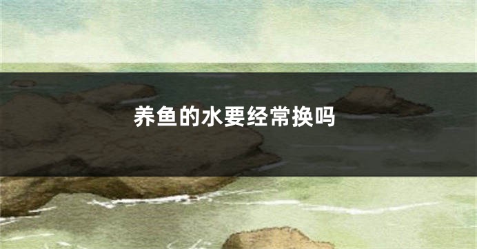 养鱼的水要经常换吗