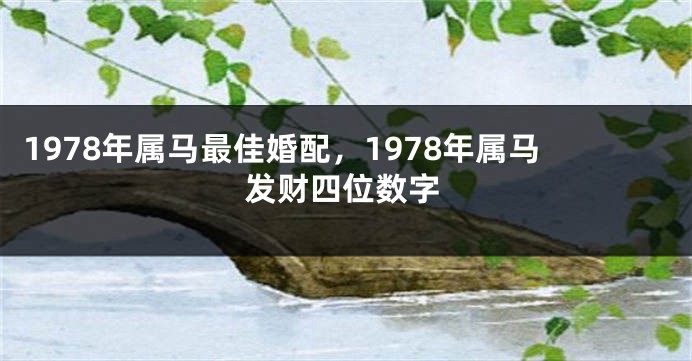 1978年属马最佳婚配，1978年属马发财四位数字