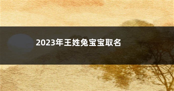 2023年王姓兔宝宝取名