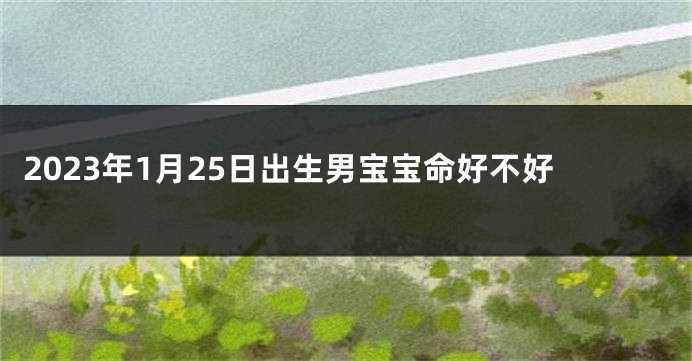 2023年1月25日出生男宝宝命好不好