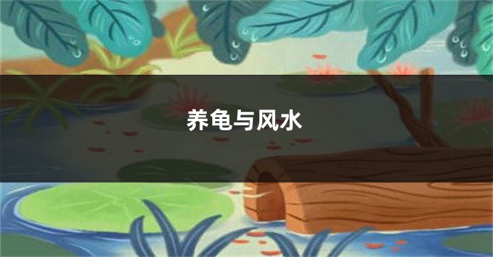 养龟与风水