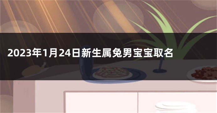 2023年1月24日新生属兔男宝宝取名