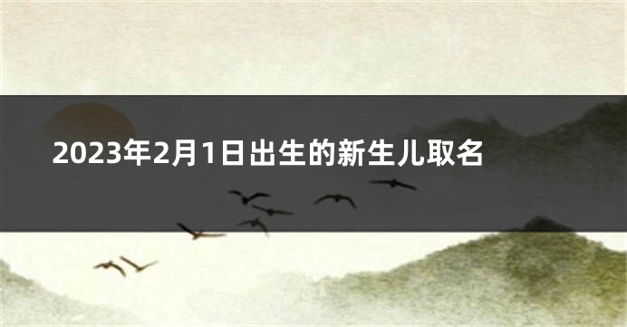 2023年2月1日出生的新生儿取名