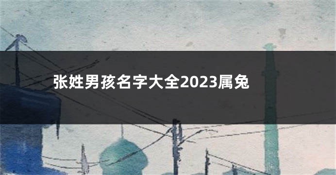 张姓男孩名字大全2023属兔