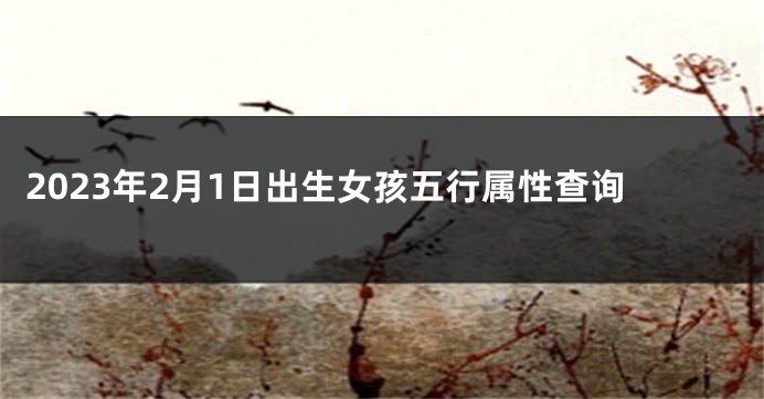 2023年2月1日出生女孩五行属性查询