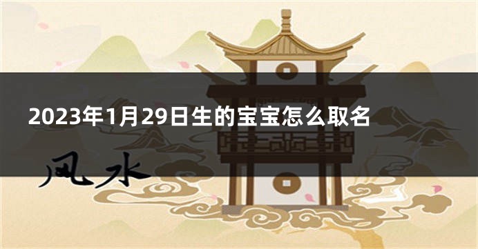 2023年1月29日生的宝宝怎么取名