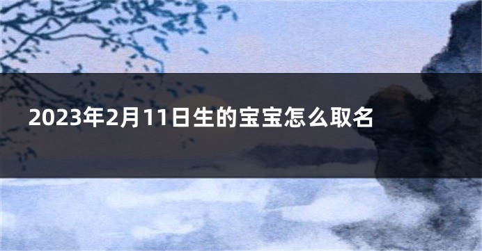 2023年2月11日生的宝宝怎么取名