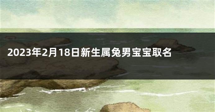 2023年2月18日新生属兔男宝宝取名