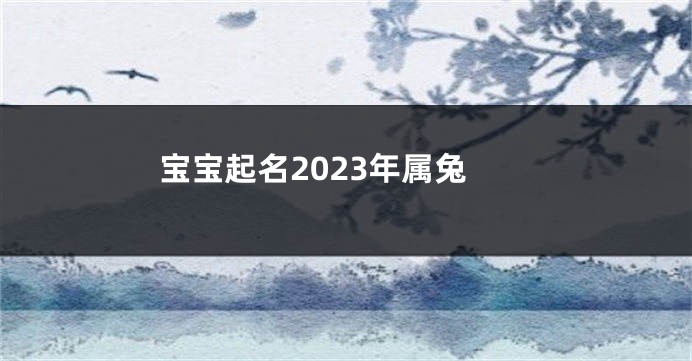 宝宝起名2023年属兔