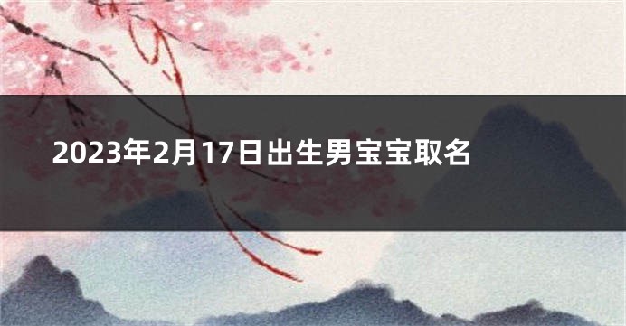 2023年2月17日出生男宝宝取名