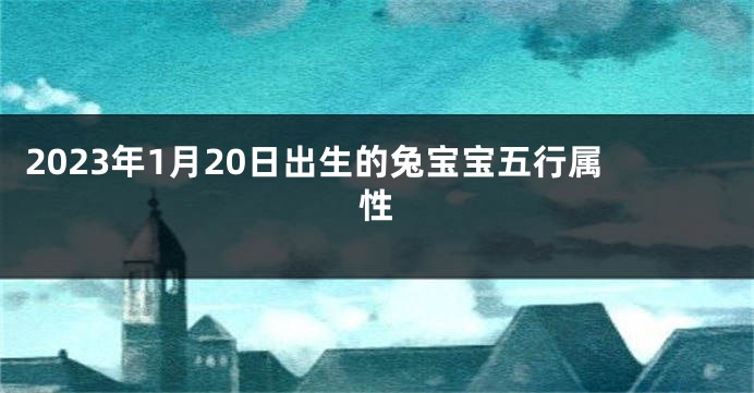 2023年1月20日出生的兔宝宝五行属性