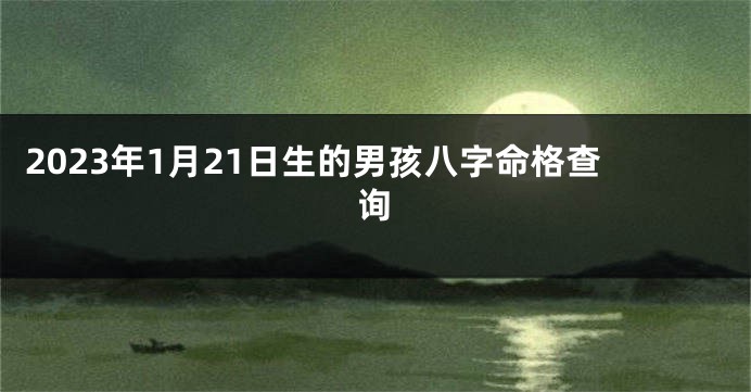 2023年1月21日生的男孩八字命格查询